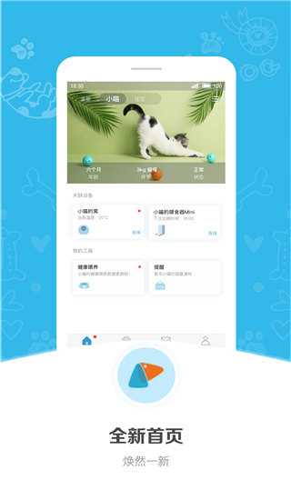 小佩宠物1