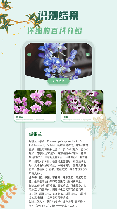 识花君植物识别2