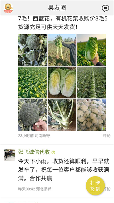 绿果网app4