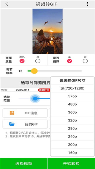 视频GIF4
