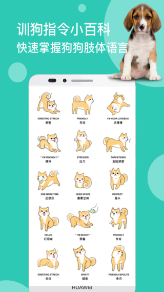 狗语翻译app4