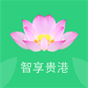 智慧荷城