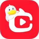 淘宝直播app