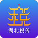 湖北税务网上税务局