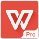 WPS Office Pro央企定制版