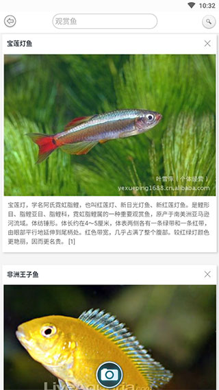 万物识别破解版5
