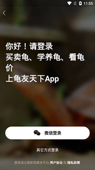 龟友天下4
