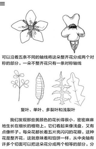 野外植物识别手册2