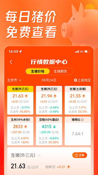猪博士1