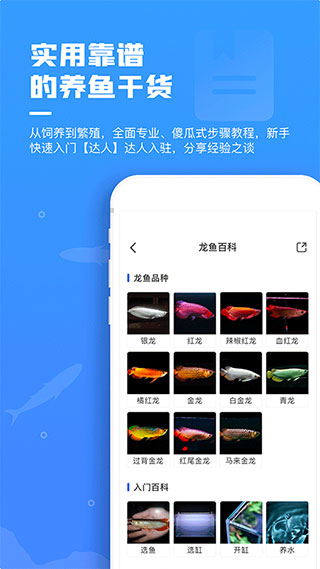 鲲天下app3