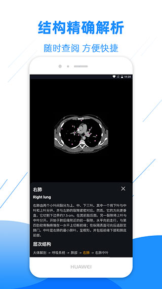 影像解剖图谱app4