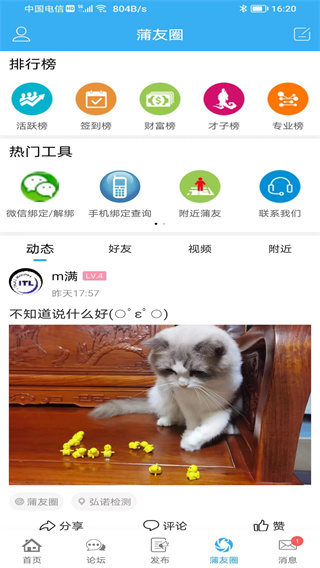 蒲公英app3