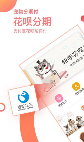 淘宠网3