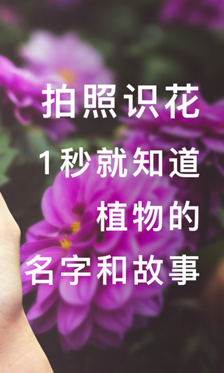 形色植物识别app2