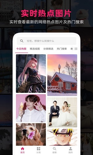 图片搜搜4