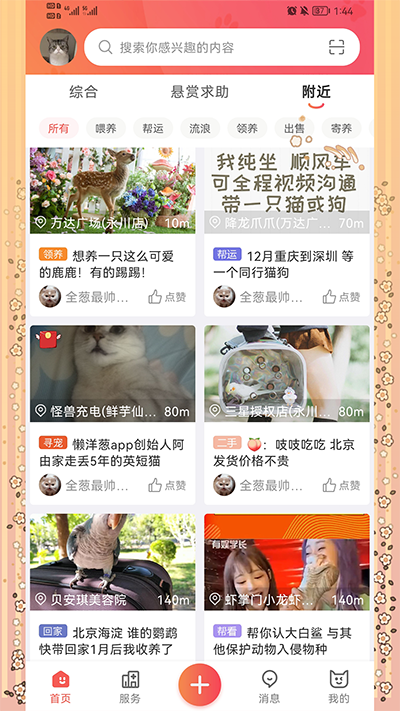 懒洋葱1