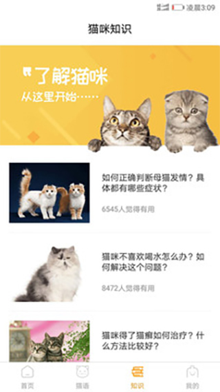 猫咪翻译器4