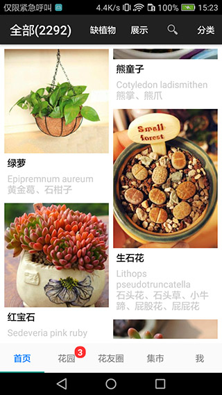 爱花草2