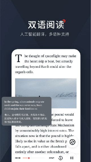 西梅1