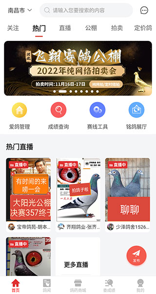 搜鸽天下5