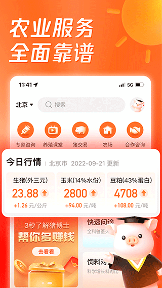 猪博士5