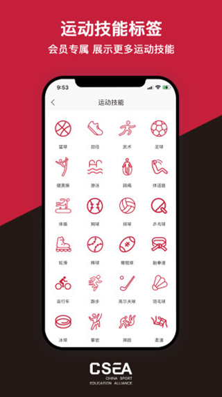 体教联盟1