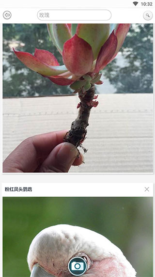 万物识别破解版4