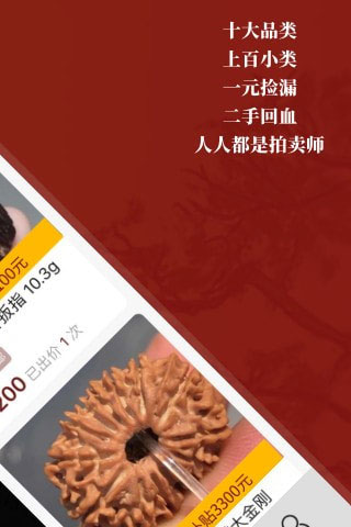 锤定app4