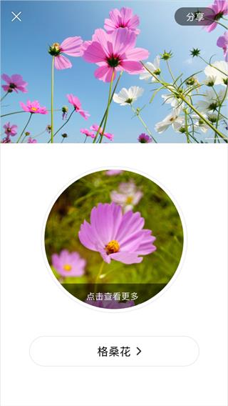 识花app3