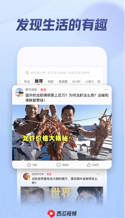 西瓜视频谷歌版3
