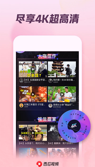 西瓜视频谷歌版4