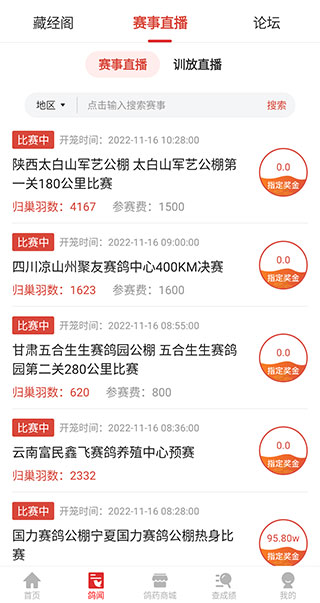 搜鸽天下4
