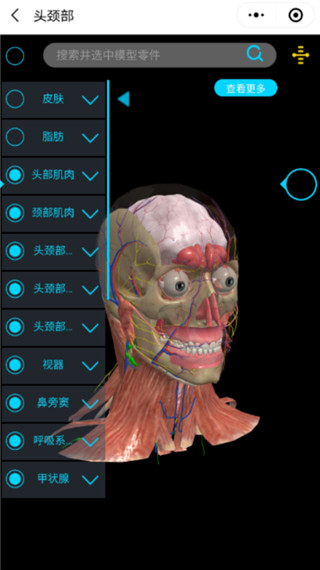 医维度解剖app4
